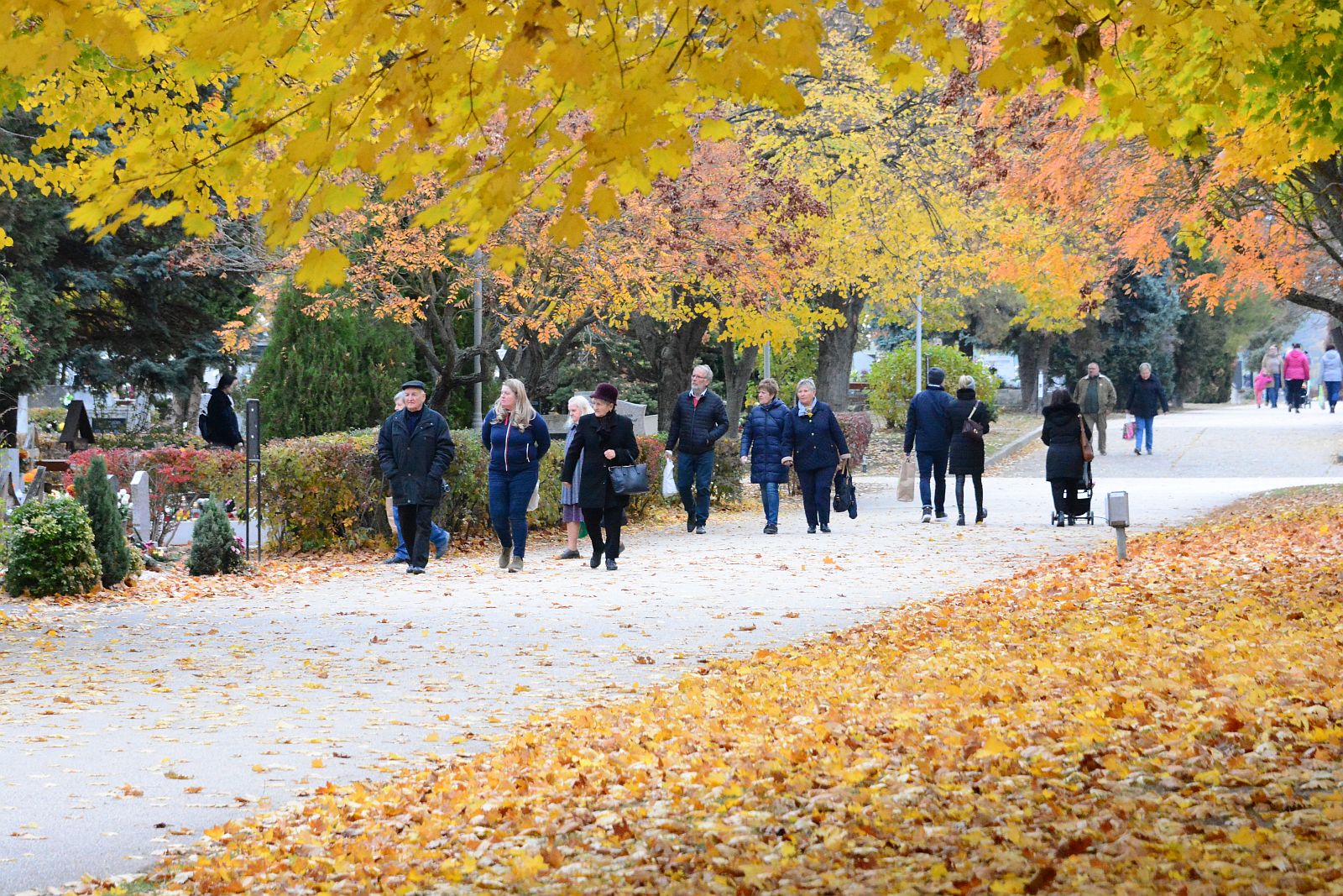 Temetőlátogatási rend - este nyolcig vannak nyitva a város temetőkertjei